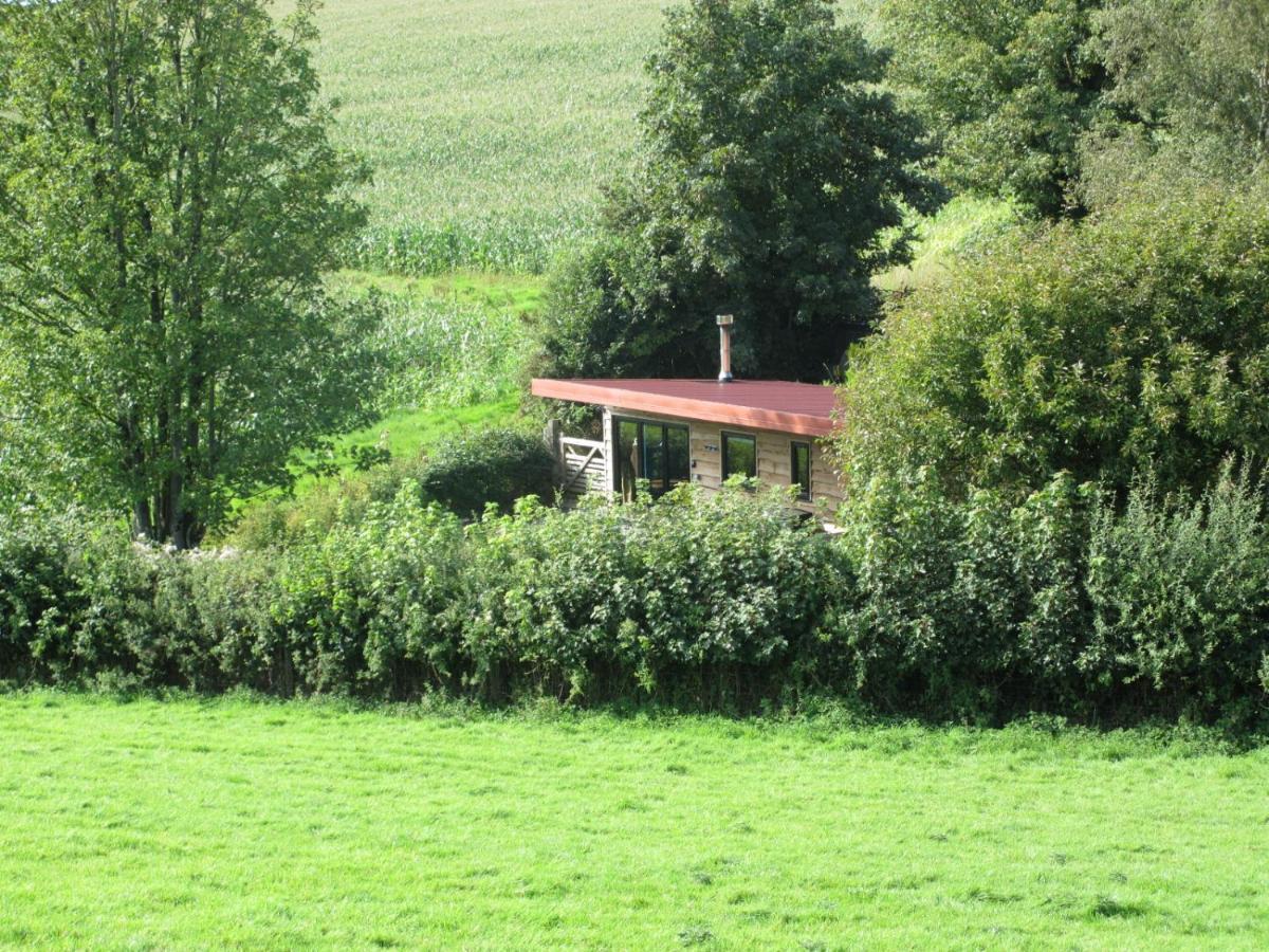 Stargazing Retreat Villa Merton  Bagian luar foto